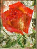 Τριαντάφυλλο - Καλλιτέχνης Ναταλία